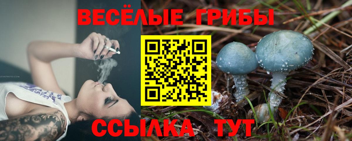 Галлюциногенные грибы Magic Shrooms  Вход с VPN  Качканар  наркотики  Псилоцибиновые грибы MAGIC MUSHROOMS 