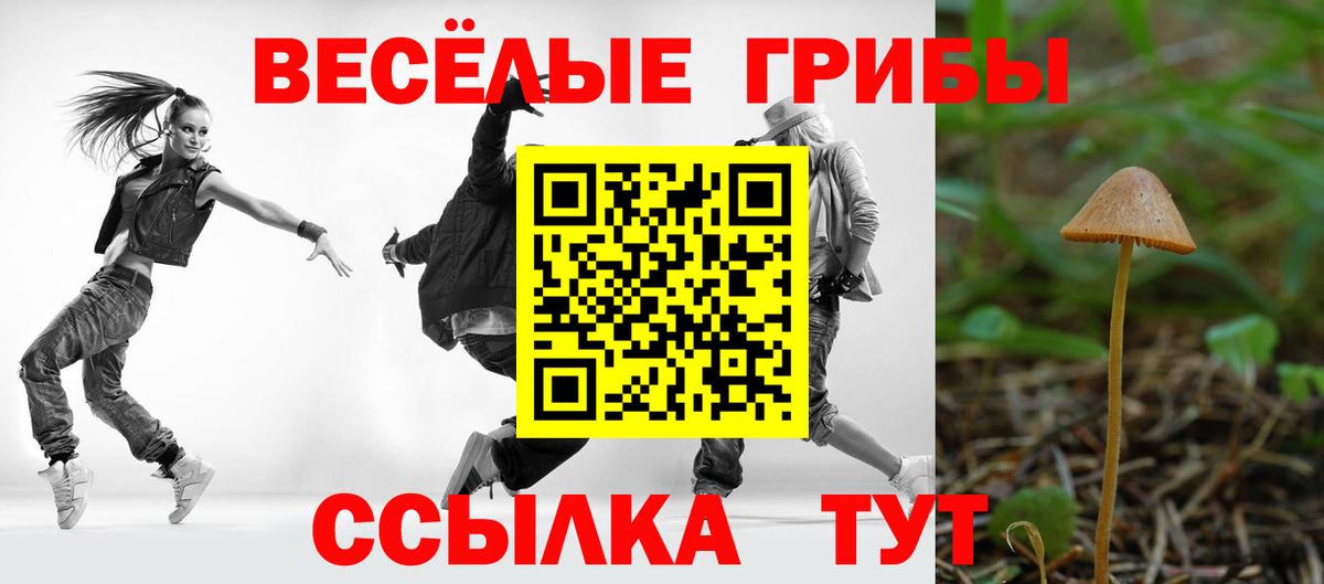 Галлюциногенные грибы Cubensis Качканар